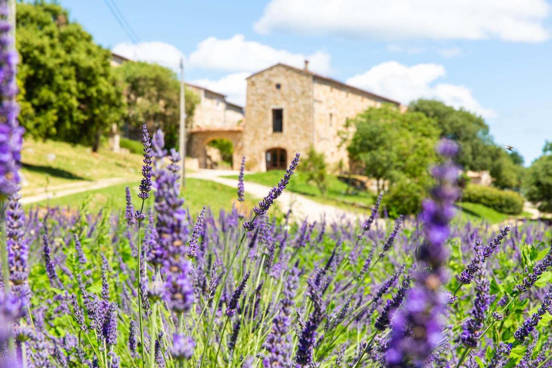 Domaine De L Astic Villa Vallon-Pont-dʼArc Dış mekan fotoğraf