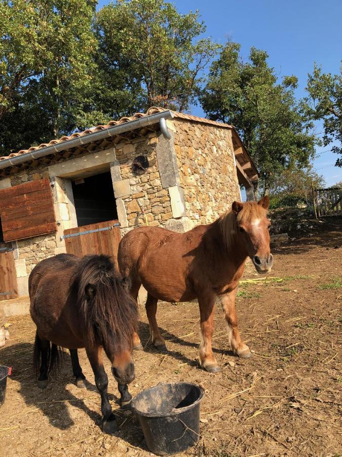 Domaine De L Astic Villa Vallon-Pont-dʼArc Dış mekan fotoğraf